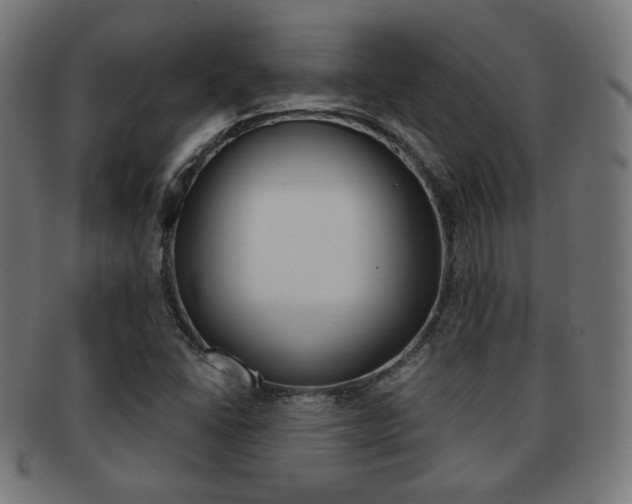 X0000092011406200709061259