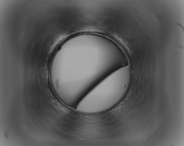 X0000092011408200709061259