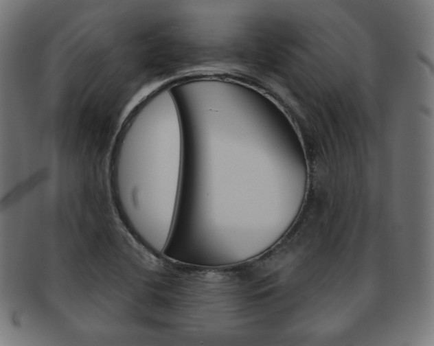 X0000092011412200709061259