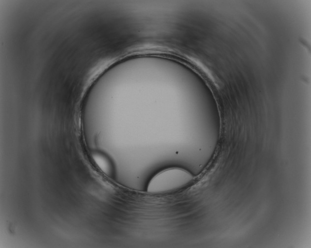 X0000092011413200709061259
