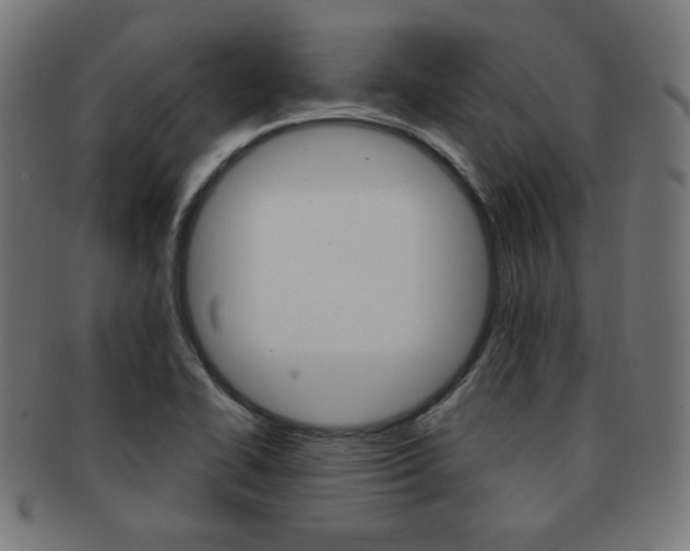 X0000092011414200709061259
