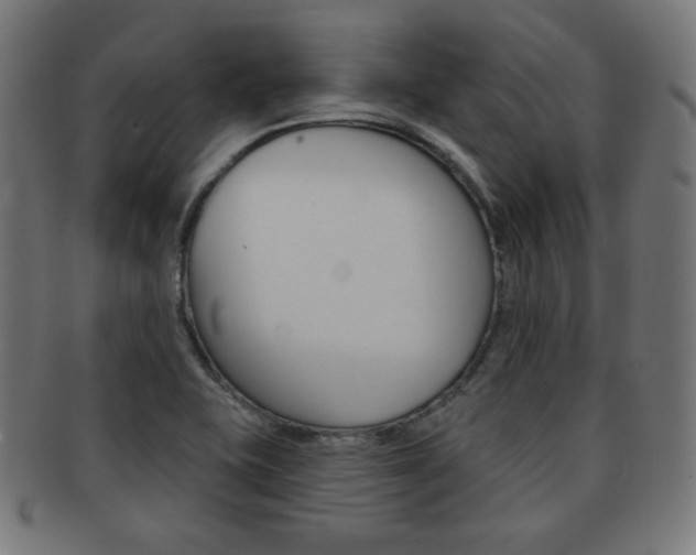X0000092011415200709061259