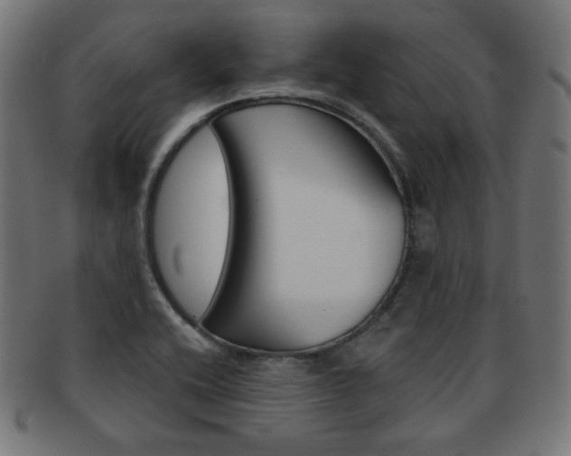 X0000092011416200709061259