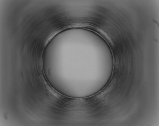 X0000092011417200709061259