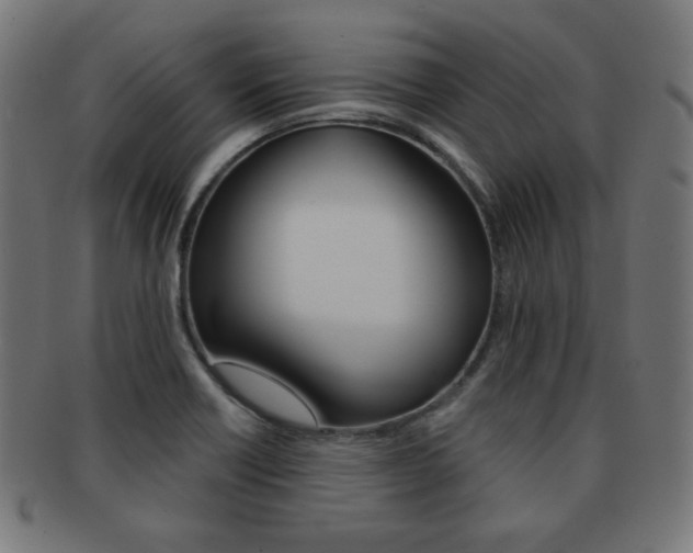 X0000092011418200709061259