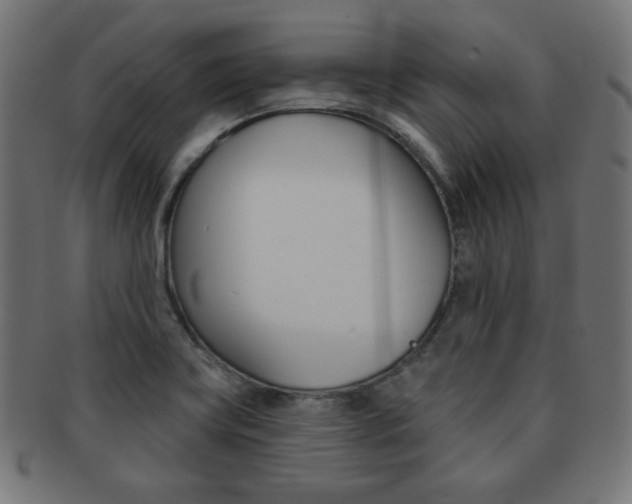 X0000092011419200709061259