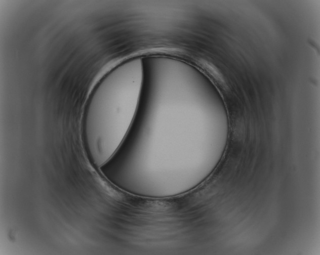 X0000092011420200709061259