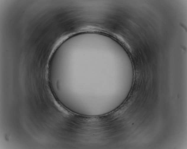 X0000092011421200709061259
