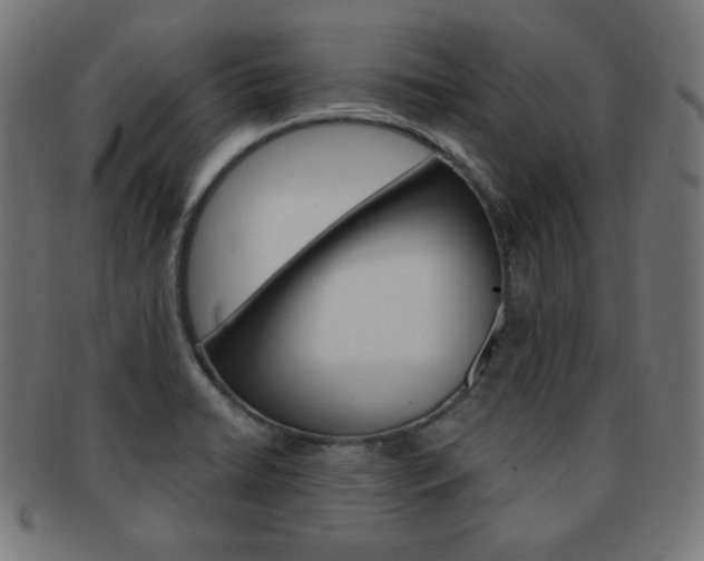 X0000092011422200709061259