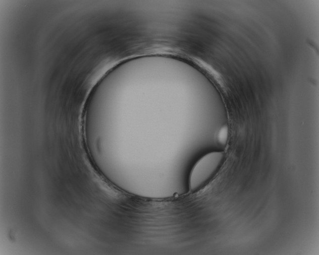 X0000092011423200709061259