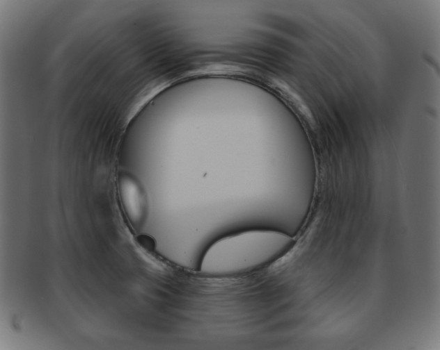 X0000092011425200709061259