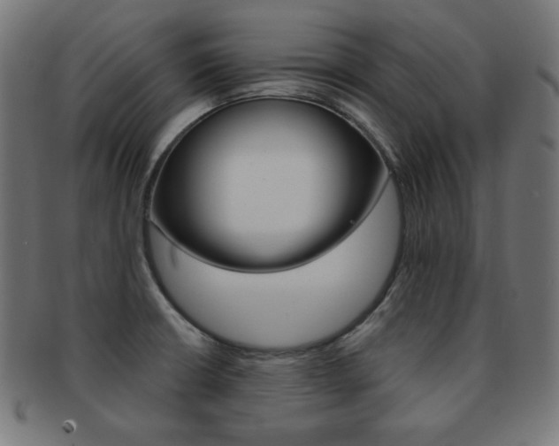 X0000092011426200709061259