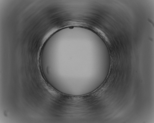 X0000092011427200709061259