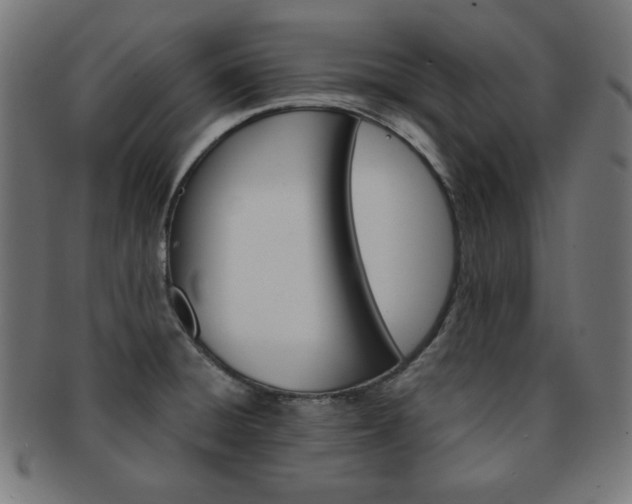 X0000092011428200709061259