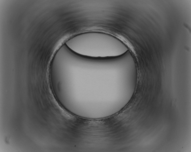 X0000092011429200709061259