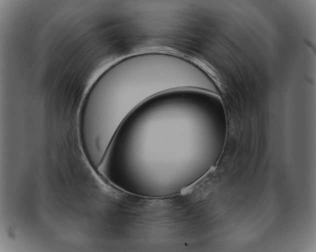 X0000092011430200709061259