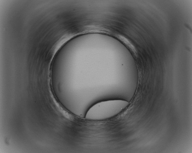 X0000092011431200709061259