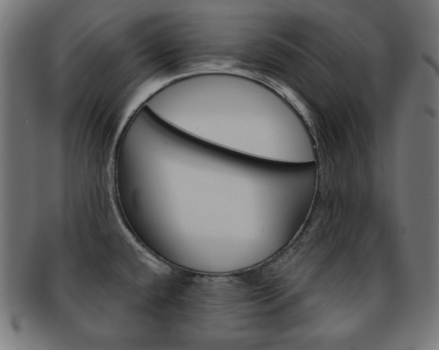 X0000092011432200709061259