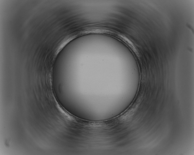 X0000092011433200709061300