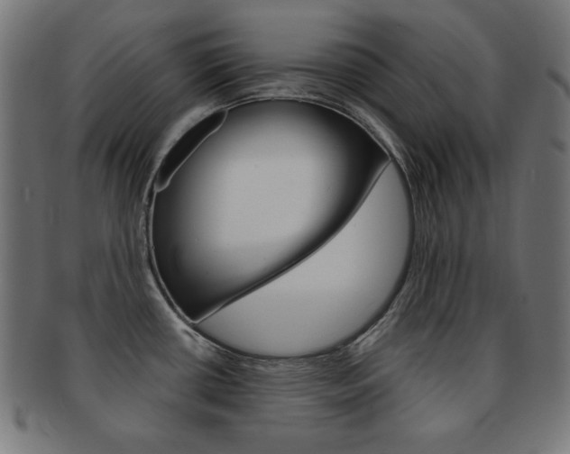 X0000092011434200709061300