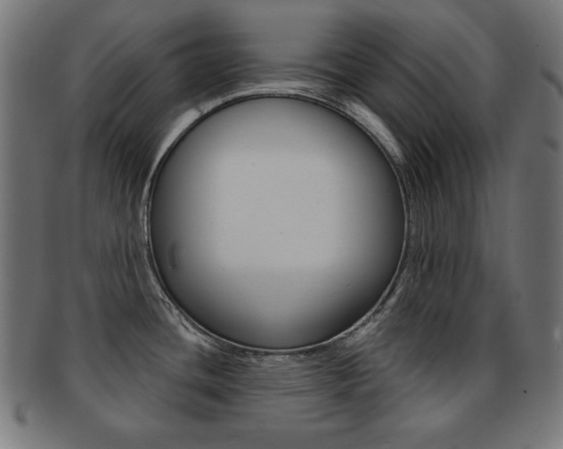 X0000092011436200709061300