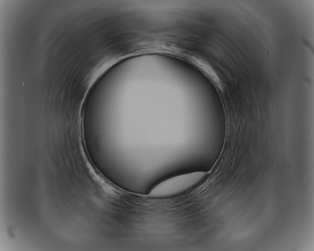 X0000092011439200709061300