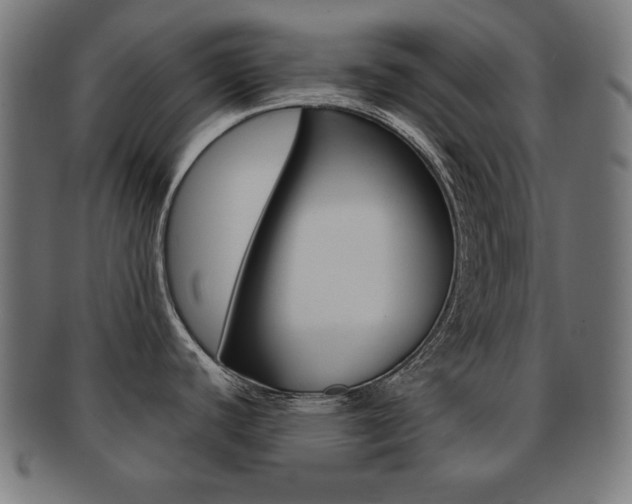 X0000092011440200709061300