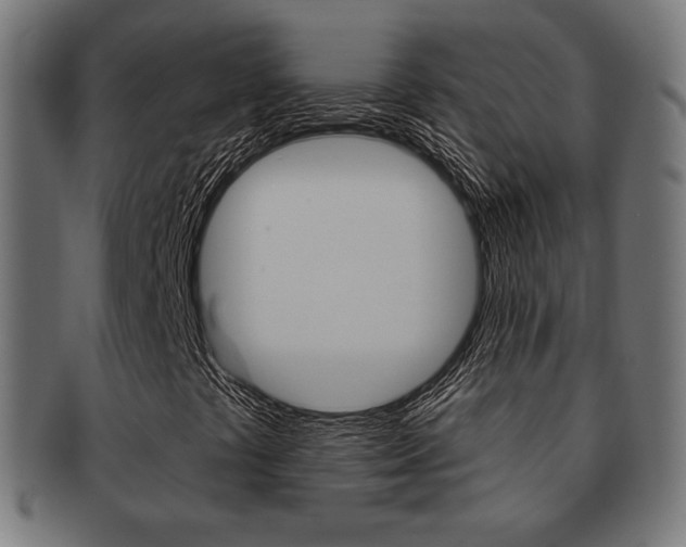 X0000092011441200709061259