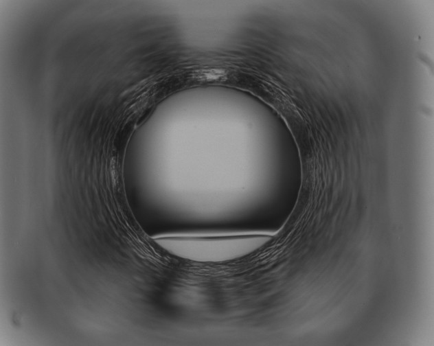 X0000092011442200709061259