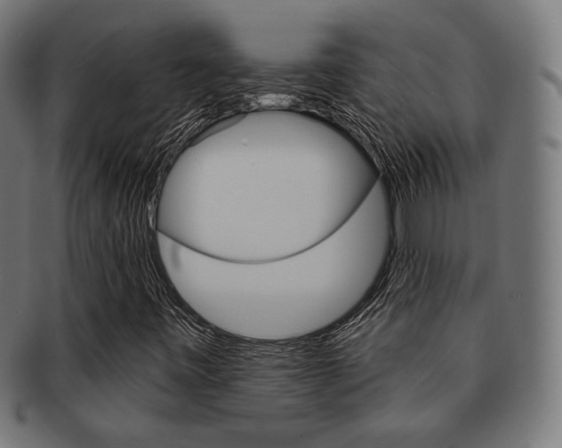 X0000092011443200709061259