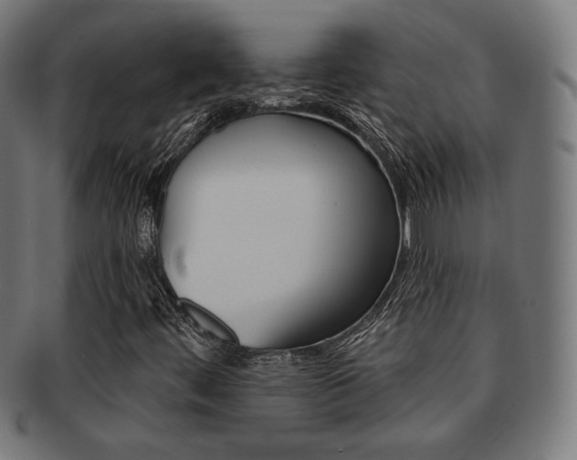 X0000092011444200709061259