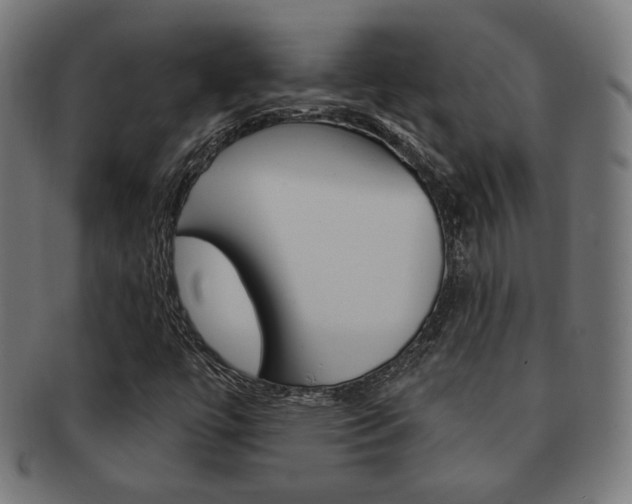 X0000092011447200709061259