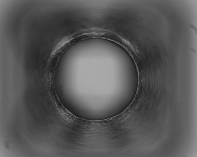 X0000092011448200709061259