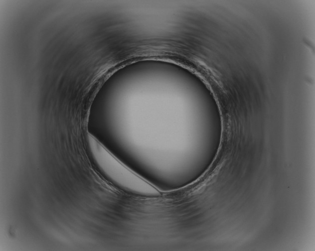 X0000092011449200709061259