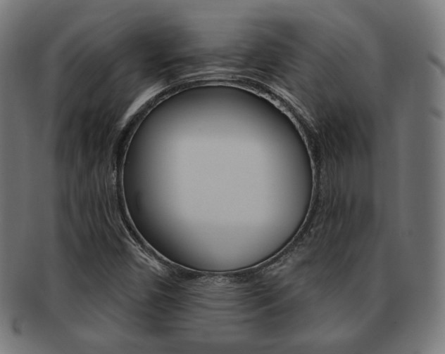 X0000092011450200709061259