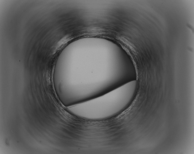 X0000092011451200709061259