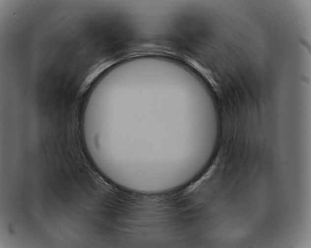 X0000092011453200709061259