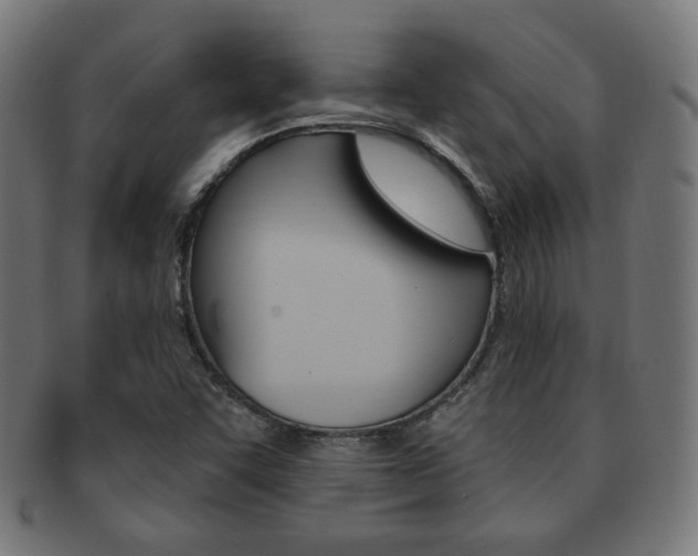 X0000092011455200709061259