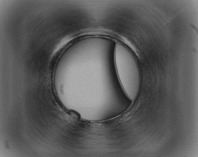 X0000092011456200709061259
