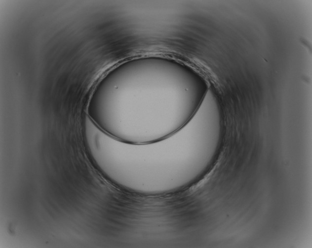 X0000092011457200709061259