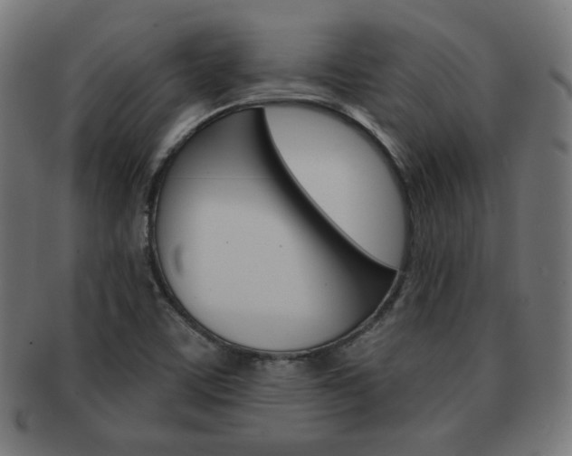 X0000092011459200709061259