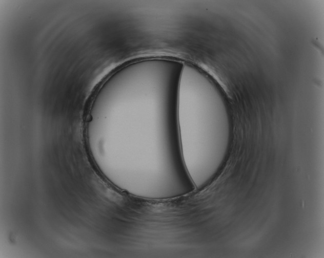 X0000092011460200709061259