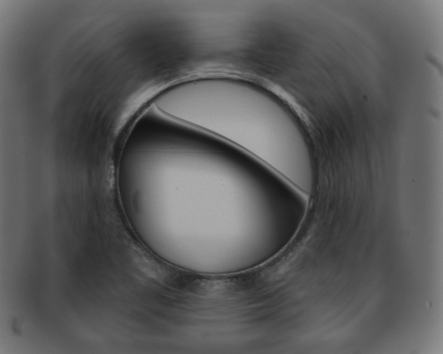 X0000092011461200709061259