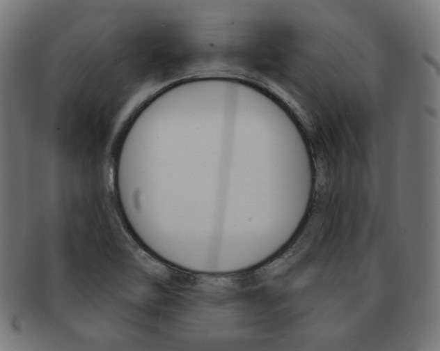 X0000092011462200709061259