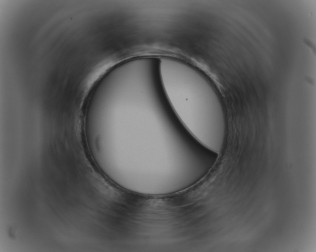 X0000092011463200709061259