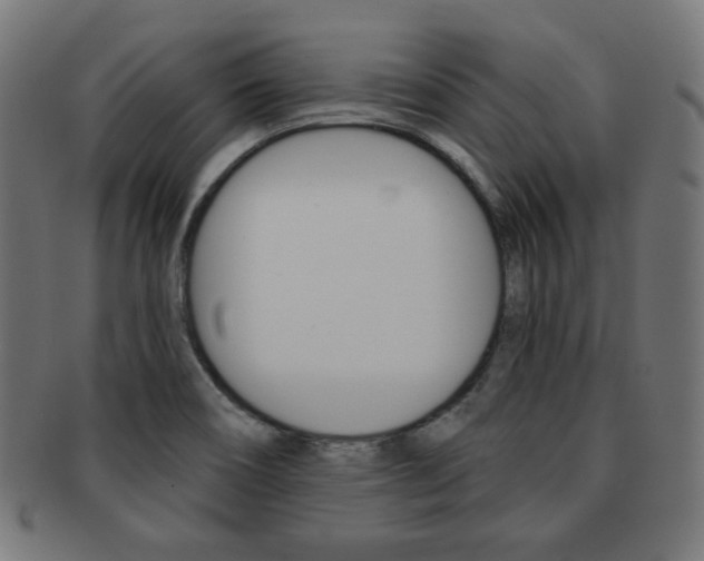 X0000092011466200709061259