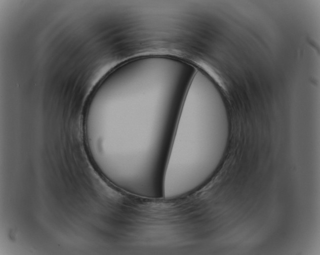 X0000092011468200709061259