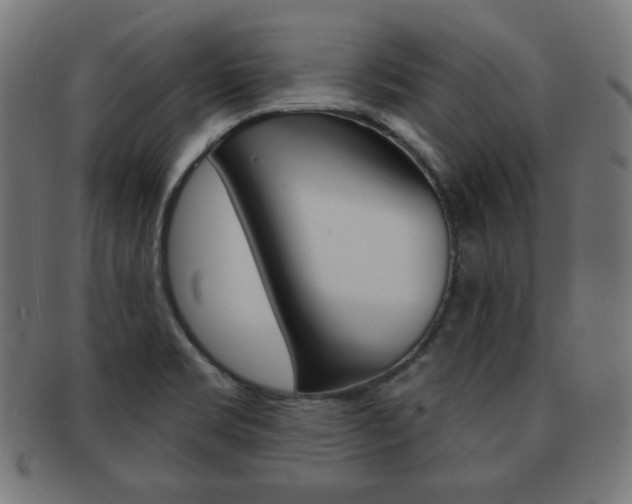X0000092011469200709061259