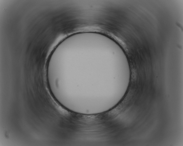 X0000092011470200709061259
