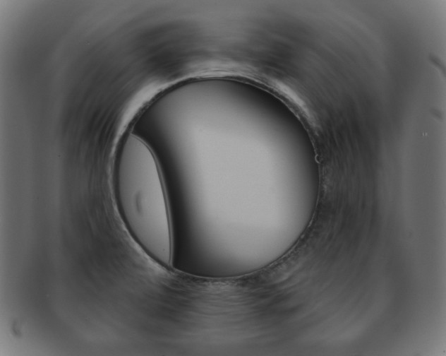 X0000092011472200709061259
